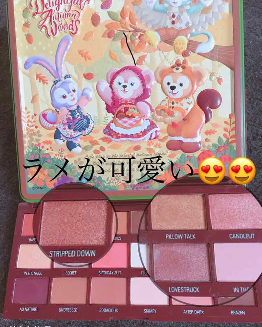 アイラブチョコレート/MAKEUP REVOLUTION/アイシャドウパレットを使ったクチコミ(1枚目)