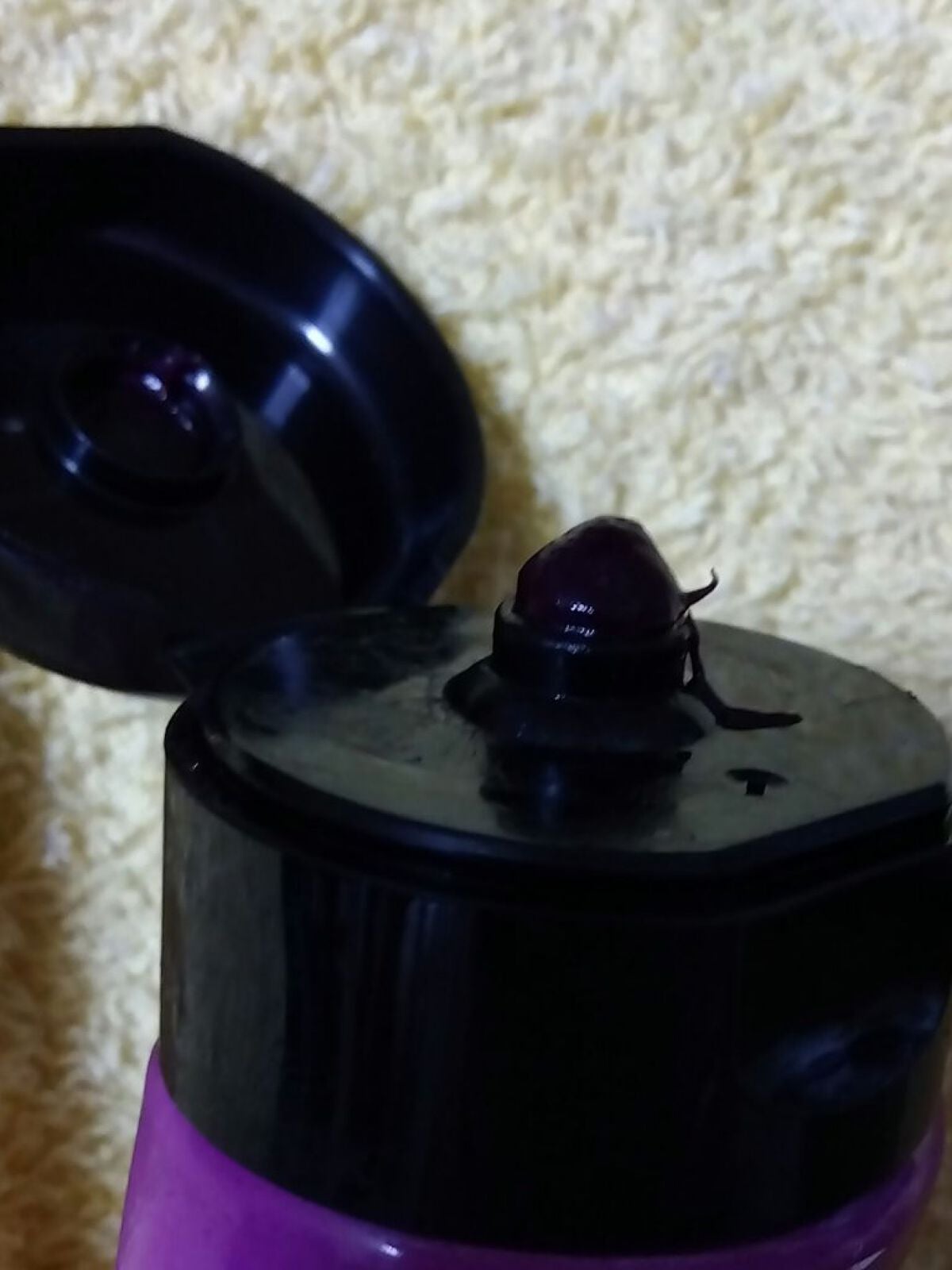 2トーン トリートメントヘアカラー/ETUDE/ヘアカラーを使ったクチコミ(2枚目)