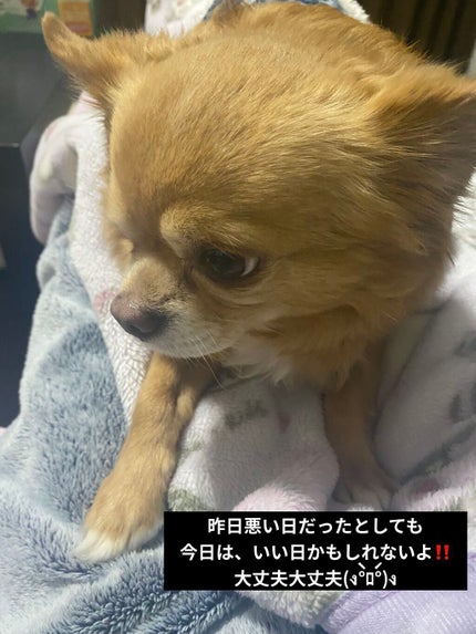 タカミスキンピール/タカミ/ブースター・導入液を使ったクチコミ(7枚目)