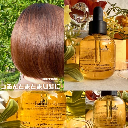 パフュームヘアオイル ラピタ/La'dor/ヘアオイルを使ったクチコミ(9枚目)