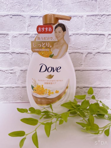 ダヴ ボディウォッシュ ライスファーメント＆キンモクセイのクチコミ「Dove
ボディウォッシュ

☑︎ライスファーメント&キンモクセイ



ダヴからキンモクセイ.....」（1枚目）