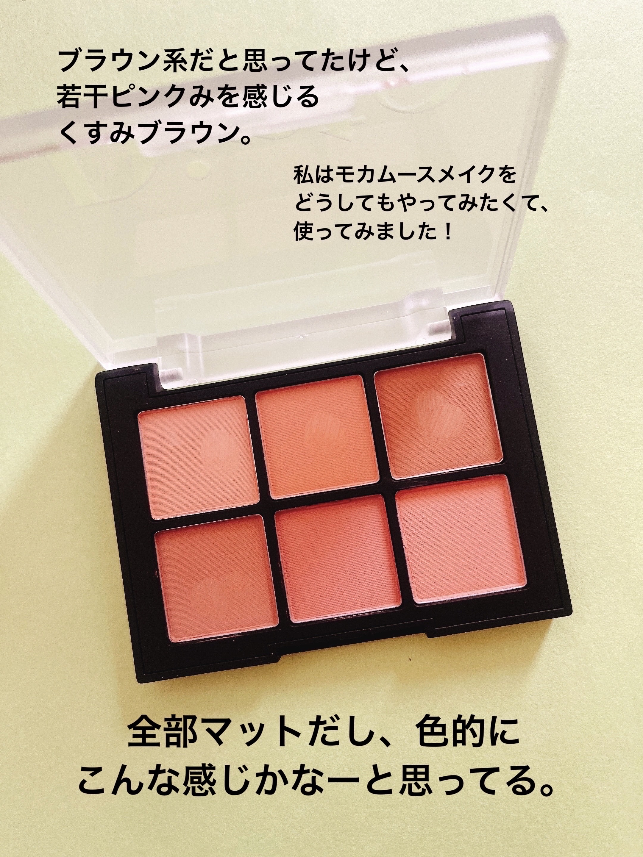 ブラーフィニシュシャドウパレット 701 ジェーンオースティン/Dinto/アイシャドウパレットを使ったクチコミ（2枚目）