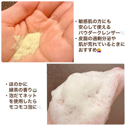 グリーンティー&エンザイムパウダーウォッシュ/By Wishtrend/洗顔パウダーを使ったクチコミ(2枚目)