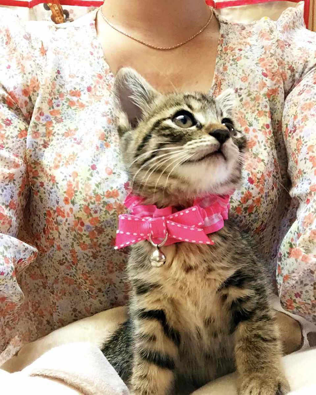 カラフルネイルズ/キャンメイク/マニキュアを使ったクチコミ（3枚目）