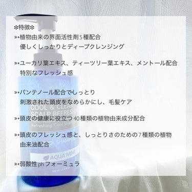 クール＆クリア スカルプ リフレッシング シャンプー/KUNDAL/シャンプー・コンディショナーを使ったクチコミ（3枚目）