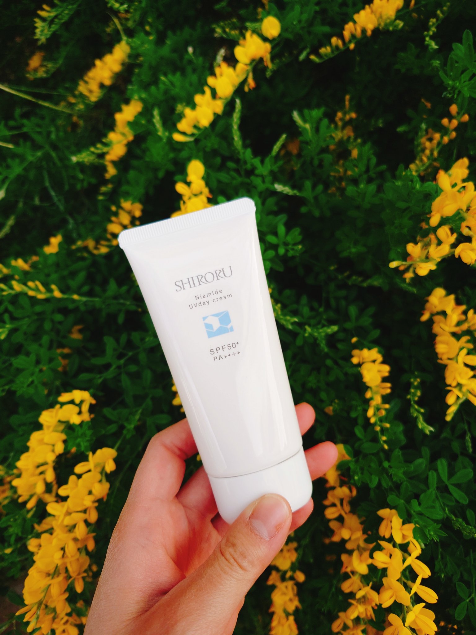 ナイアミドUVデイクリーム/SHIRORU/日焼け止めクリームを使ったクチコミ（1枚目）