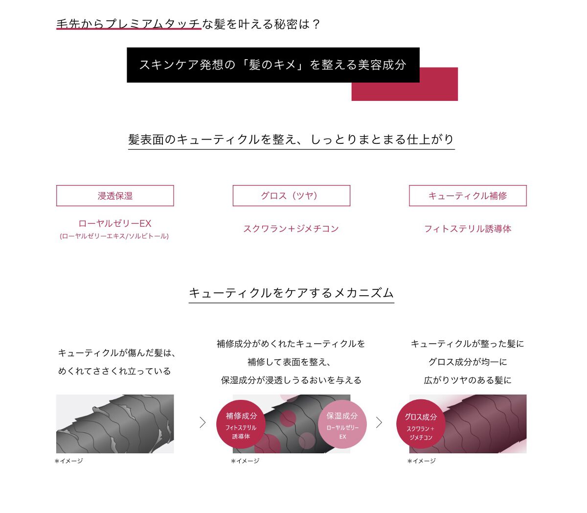 フィーノ　プレミアムタッチ　濃厚美容液ヘアマスク/フィーノ/ヘアマスク・ヘアパックを使ったクチコミ（2枚目）