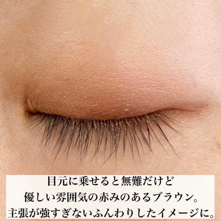 プティパレットアイズ/キャンメイク/パウダーアイシャドウを使ったクチコミ(6枚目)