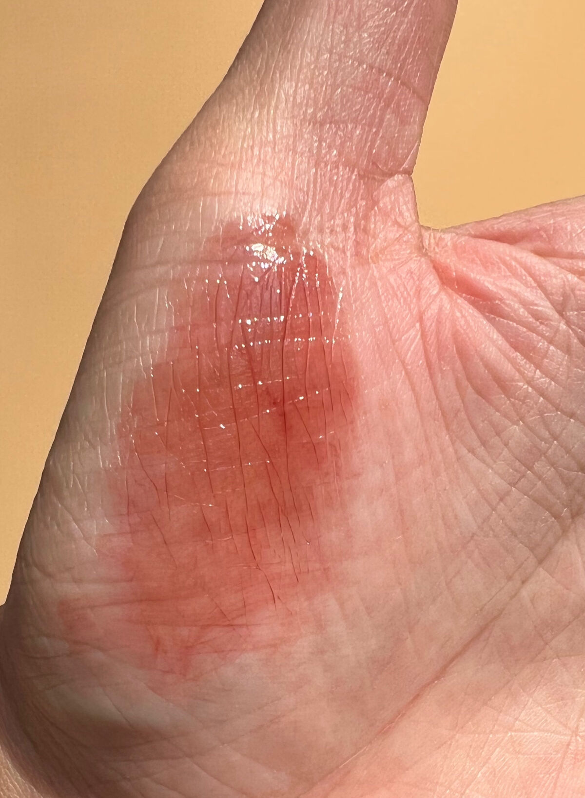 ジェリー ティント リップカラー/REVLON/リップティントを使ったクチコミ（2枚目）