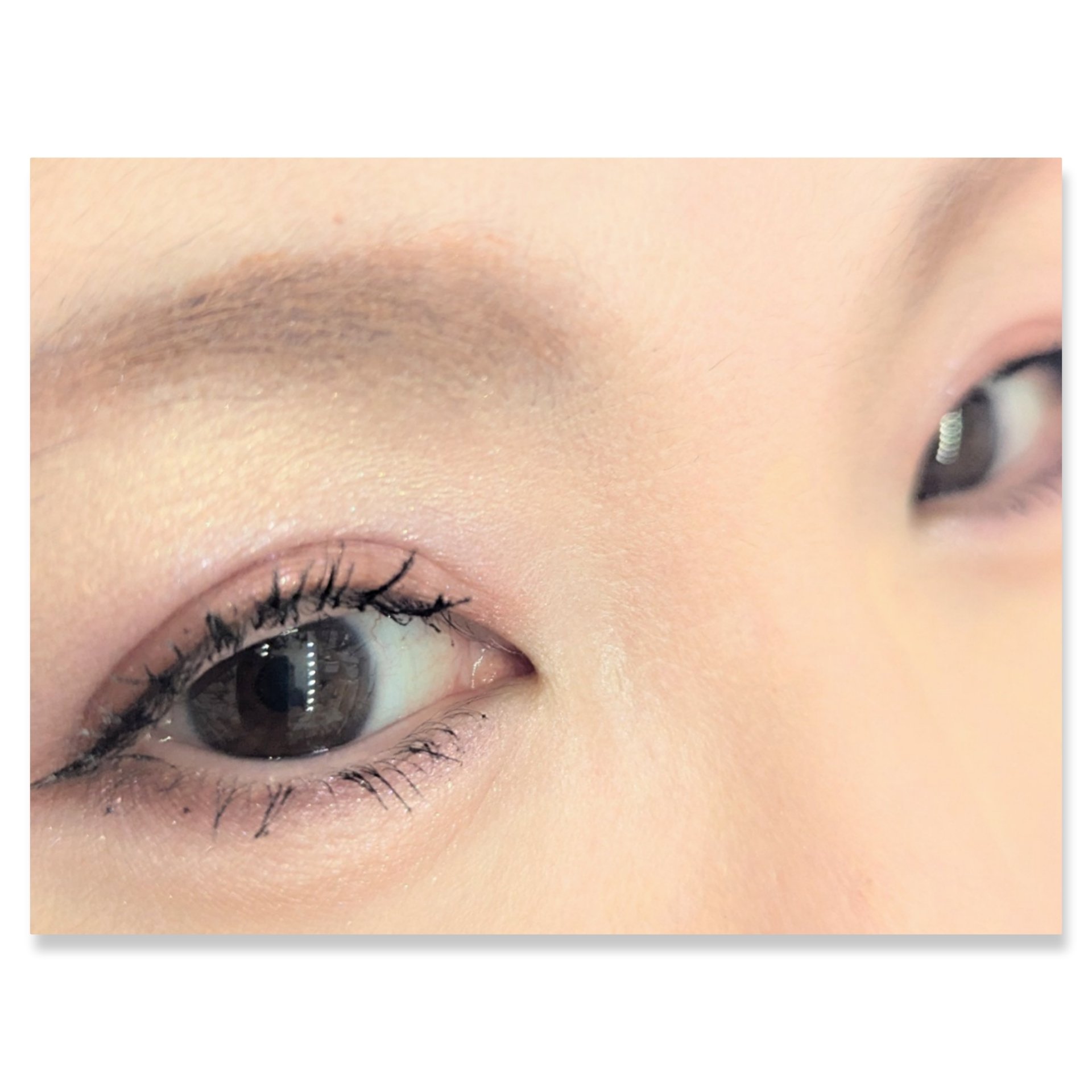 シルキースフレアイズ/キャンメイク/アイシャドウパレットを使ったクチコミ（2枚目）