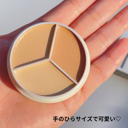 カバーアッププロコンシーラー/TFIT/パレットコンシーラーを使ったクチコミ(3枚目)