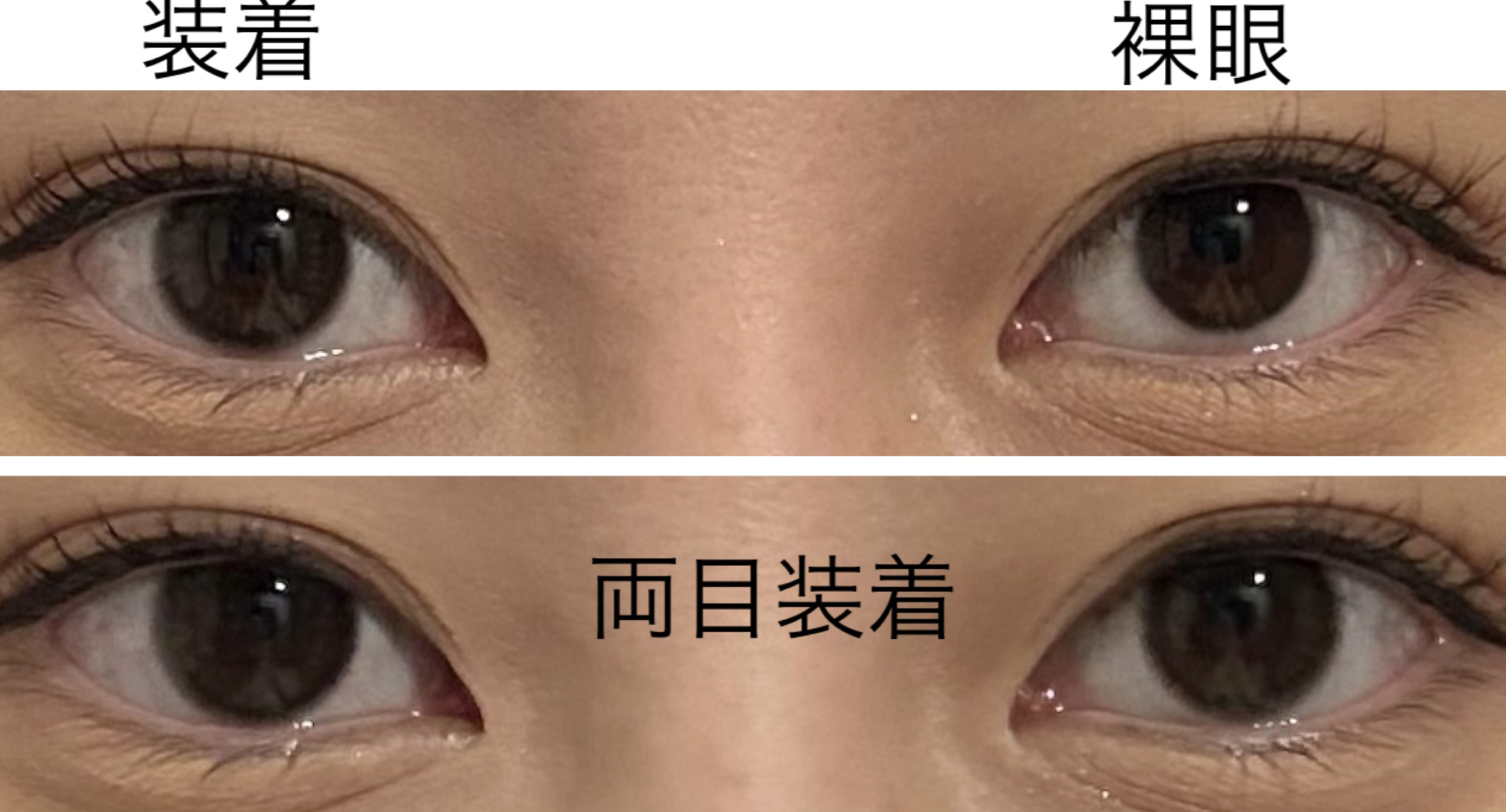 miium 1day/miium/ワンデー（１DAY）カラコンを使ったクチコミ（3枚目）