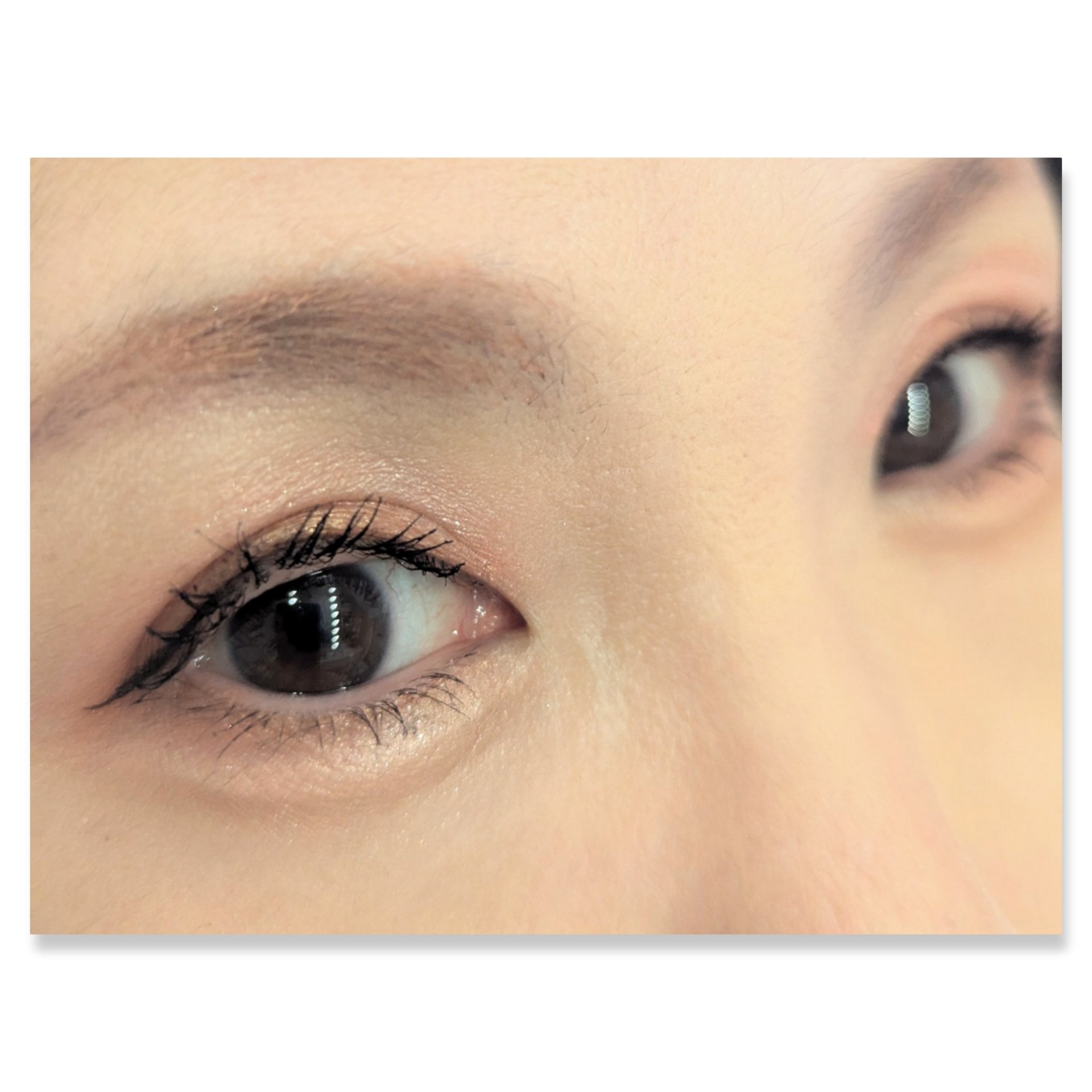 パノラマデザイン アイパレット/Visée/アイシャドウパレットを使ったクチコミ（2枚目）