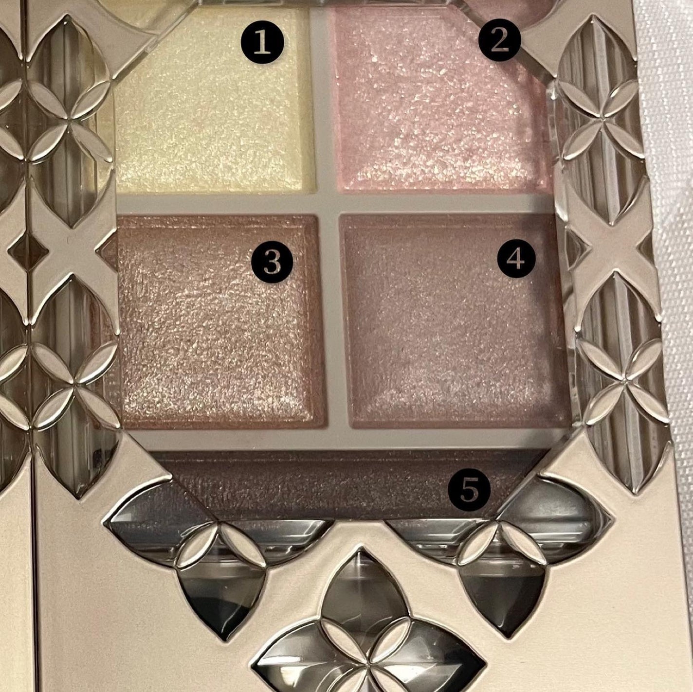 Kaoru on LIPS 「もんのすごい透明感爆誕🚀ヴィセパノラマデザインアイパレット B..」(2枚目)