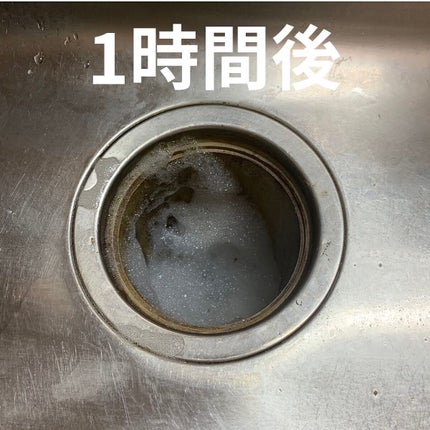 ぽち on LIPS 「────────────リビングマスターバブルンZクリーナー排..」(6枚目)