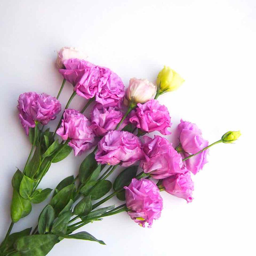 エニークッション オールデイパーフェクト/ETUDE/クッションファンデーションを使ったクチコミ（1枚目）