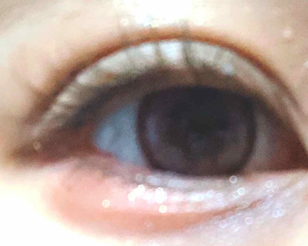 イージーラッシュ/ドーリーウインク/つけまつげを使ったクチコミ(2枚目)