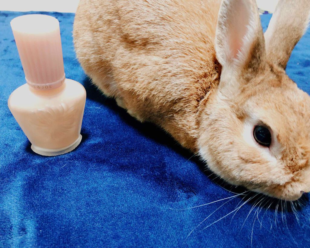 モイスチュアライジング ファンデーション プライマー S/PAUL & JOE BEAUTE/化粧下地を使ったクチコミ(1枚目)