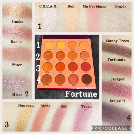 Fame Palette/ColourPop/アイシャドウパレットを使ったクチコミ(4枚目)