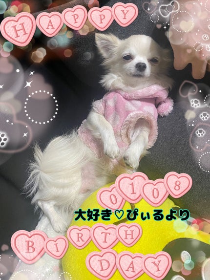 ネイルホリック Glamour Glitter/ネイルホリック/マニキュアを使ったクチコミ(5枚目)