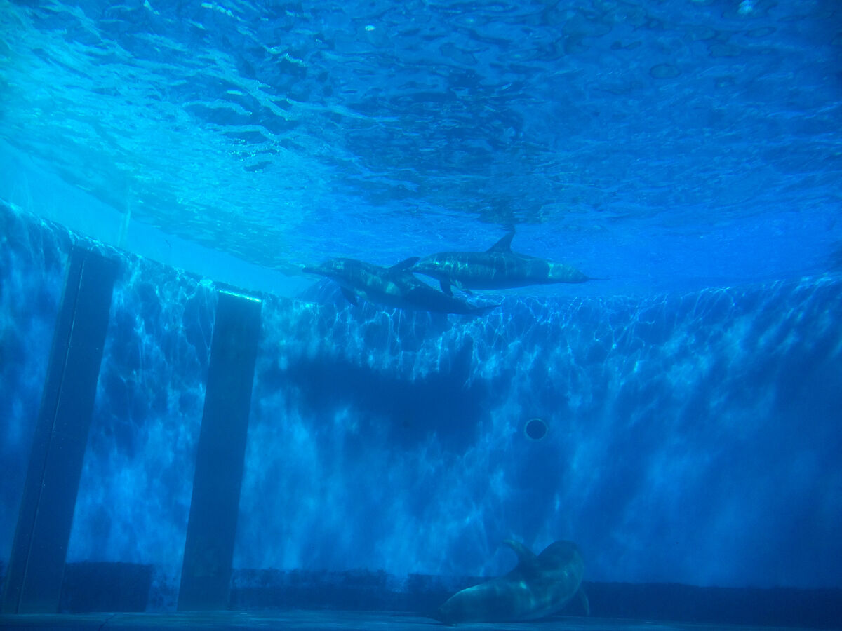 オリジナル ピュアスキンジェリー/ヴァセリン/ボディクリームを使ったクチコミ（1枚目）