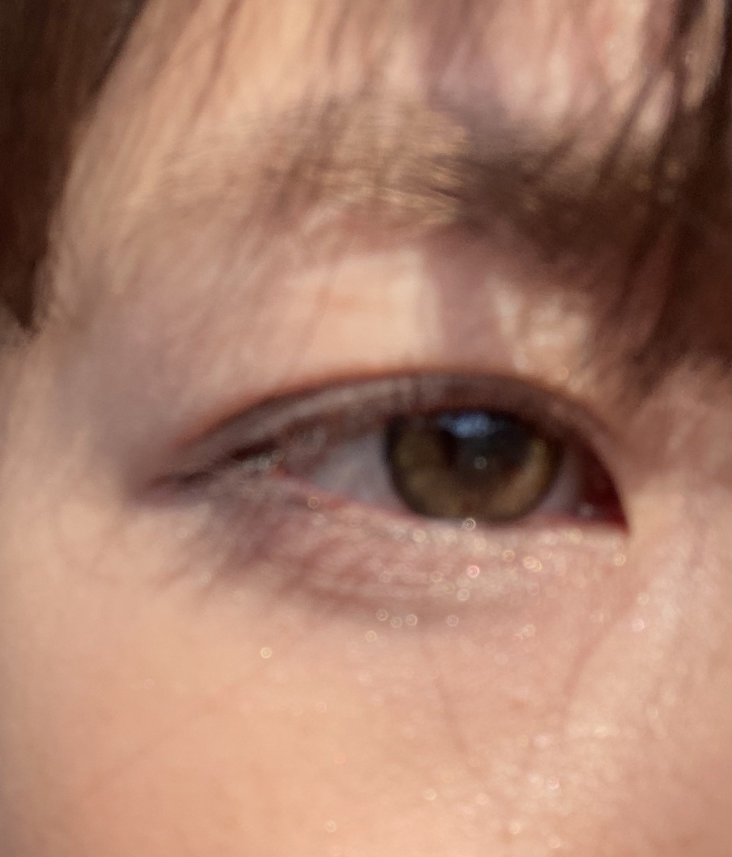 MOLAK 1day/MOLAK/ワンデー（１DAY）カラコンを使ったクチコミ（1枚目）