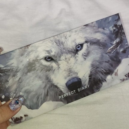 エクスプローラ12色 動物アイシャドウパレット/PERFECT DIARY/アイシャドウパレットを使ったクチコミ(4枚目)