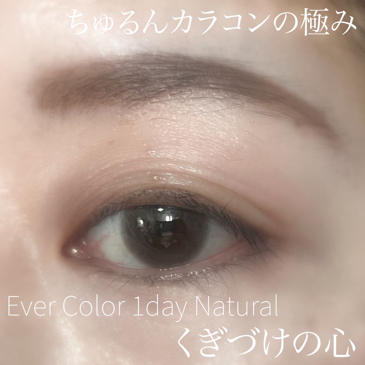 エバーカラーワンデー ナチュラル/エバーカラー/ワンデー(1DAY)カラコンを使ったクチコミ(1枚目)