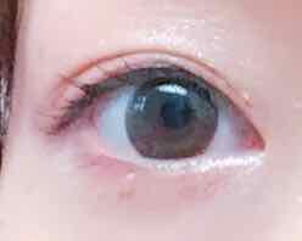 リアルクローズシャドウ/excel/アイシャドウパレットを使ったクチコミ（2枚目）