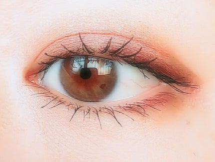 スキニーリッチシャドウ/excel/アイシャドウパレットを使ったクチコミ(2枚目)