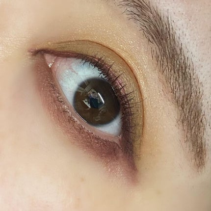 シグニチャー カラー アイズ/SUQQU/アイシャドウパレットを使ったクチコミ(6枚目)