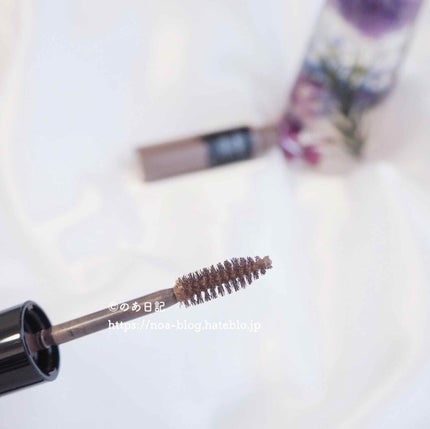 リシェ カラーリング アイブロウマスカラ/Visée/眉マスカラを使ったクチコミ(2枚目)