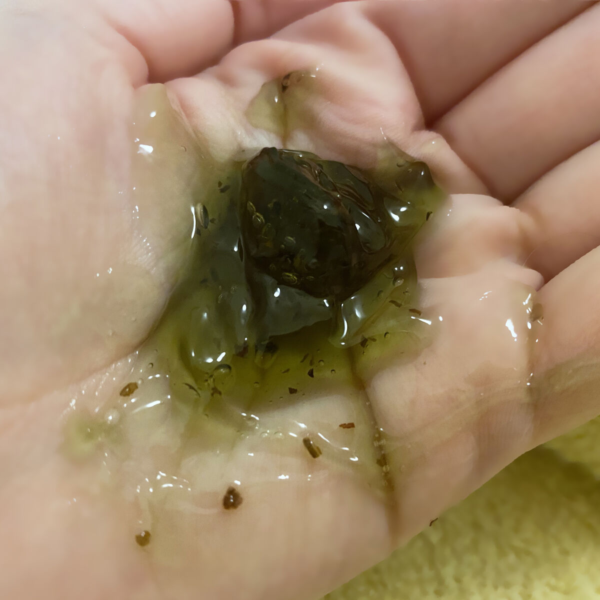  リアルティートリー シカ ウォッシュオフパック/ネイチャーリパブリック/洗い流すパック・マスクを使ったクチコミ（1枚目）