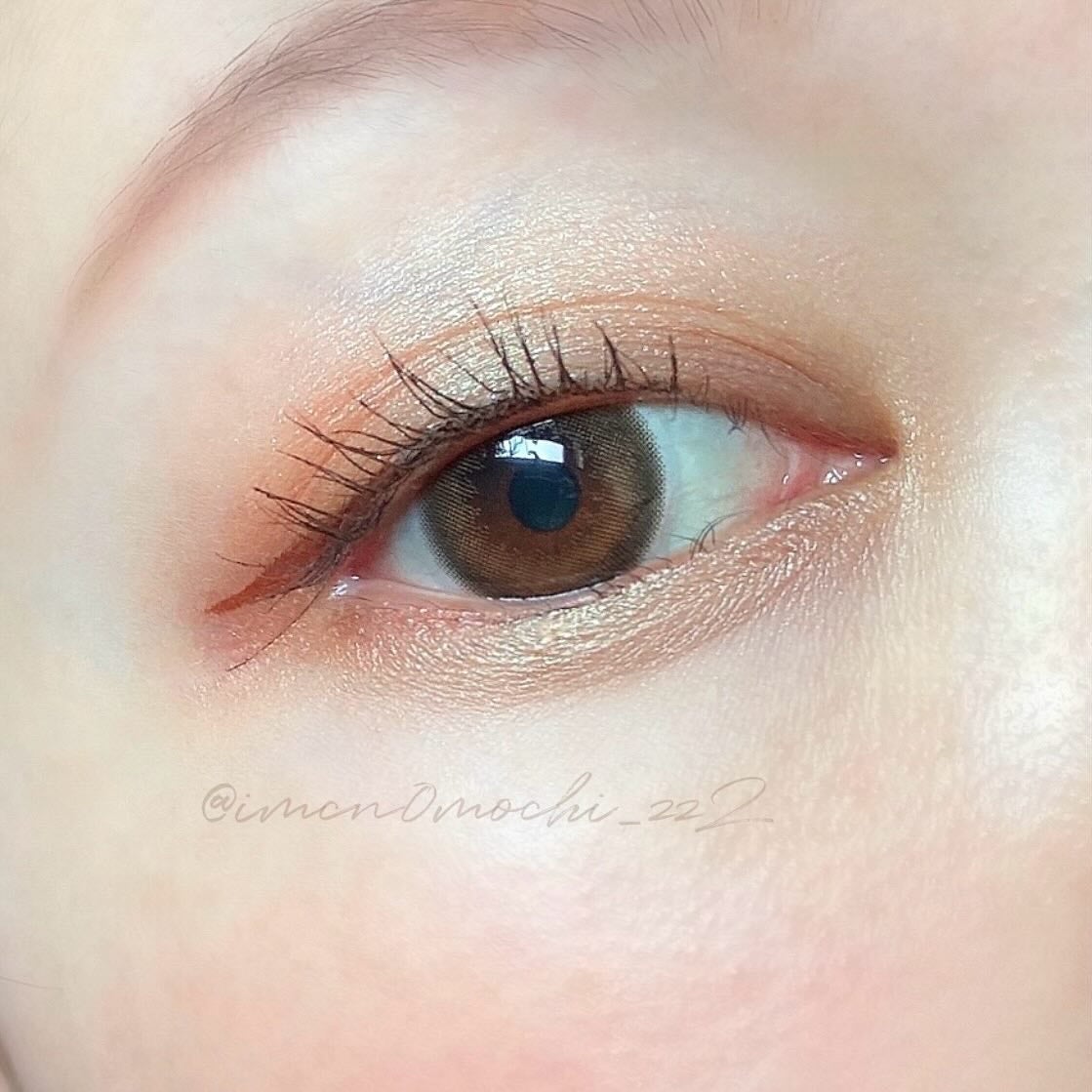 アイプランナー/excel/単色アイシャドウを使ったクチコミ(2枚目)