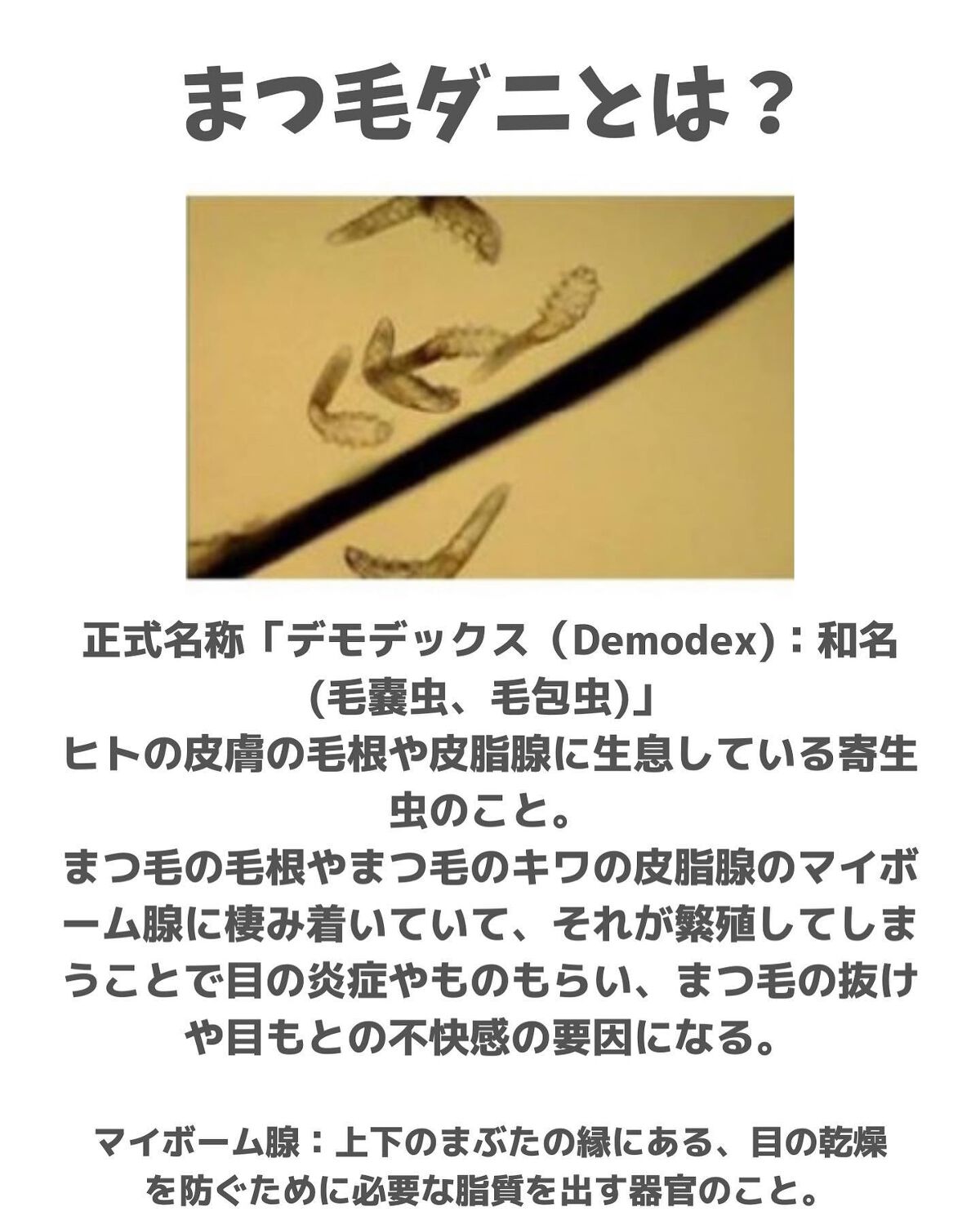 アイシャンプーリフレッシュ/メディプロダクト/その他洗顔料を使ったクチコミ（2枚目）