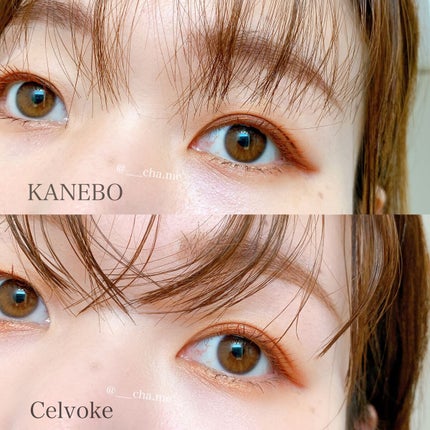 レイヤードカラーズアイシャドウ/KANEBO/アイシャドウパレットを使ったクチコミ(7枚目)