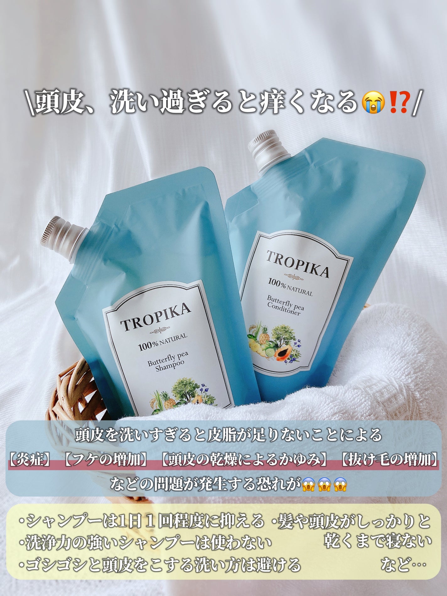 バタフライピーシャンプー/バタフライピーコンディショナー/TROPIKA/市販シャンプーを使ったクチコミ(2枚目)