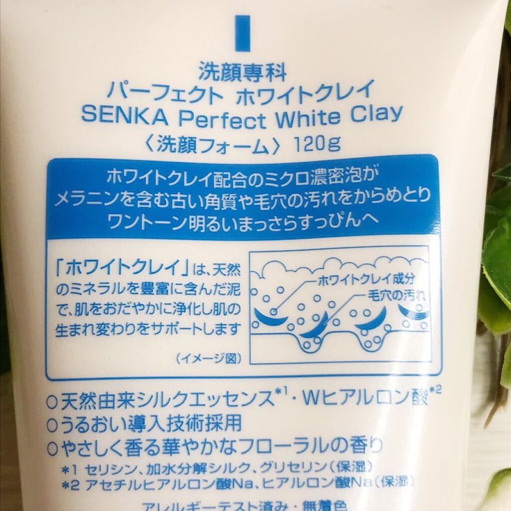 パーフェクトホワイトクレイ/SENKA(専科)/洗顔フォームを使ったクチコミ(6枚目)