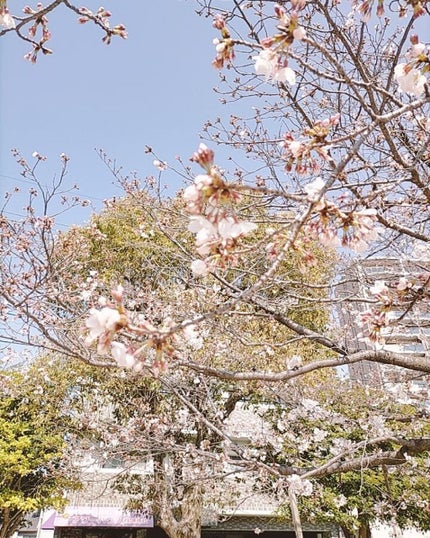 【旧品】マシュマロフィニッシュパウダー/キャンメイク/プレストパウダーを使ったクチコミ(2枚目)