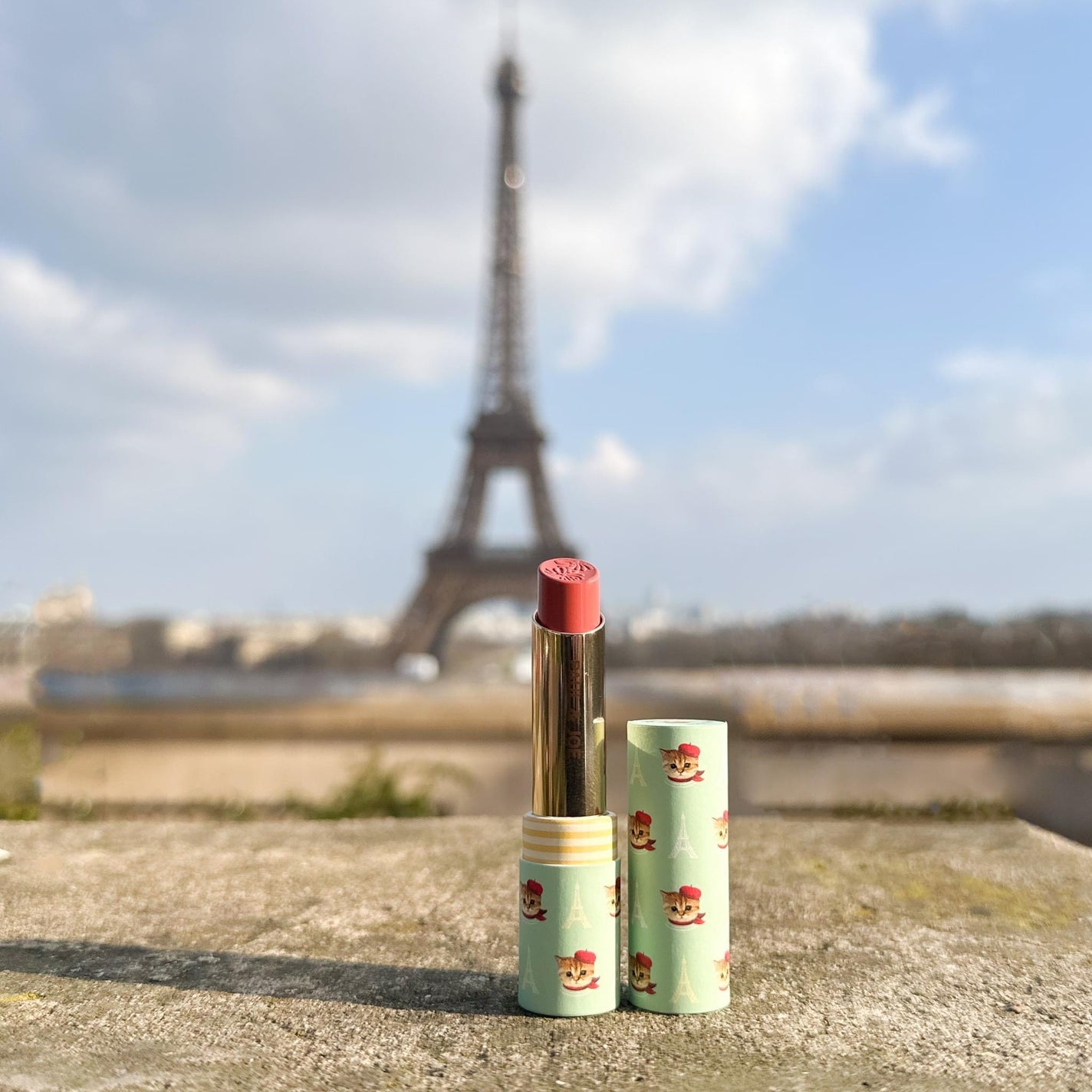 リップスティック ケース CS/PAUL & JOE BEAUTE/その他化粧小物を使ったクチコミ(1枚目)