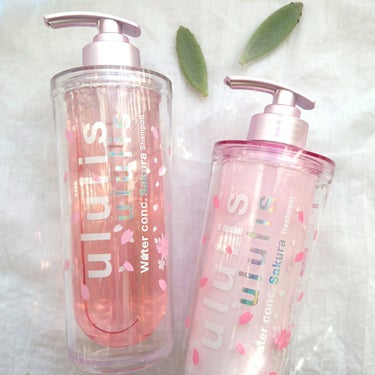 ululis ウォーターコンク モイスト シャンプー（桜ver.)/ヘアトリートメント(桜ver.)のクチコミ「ululisの新しい香り🌸SAKURA🌸でうるつや✨✨

andhoney lab さんのキャ.....」（1枚目）