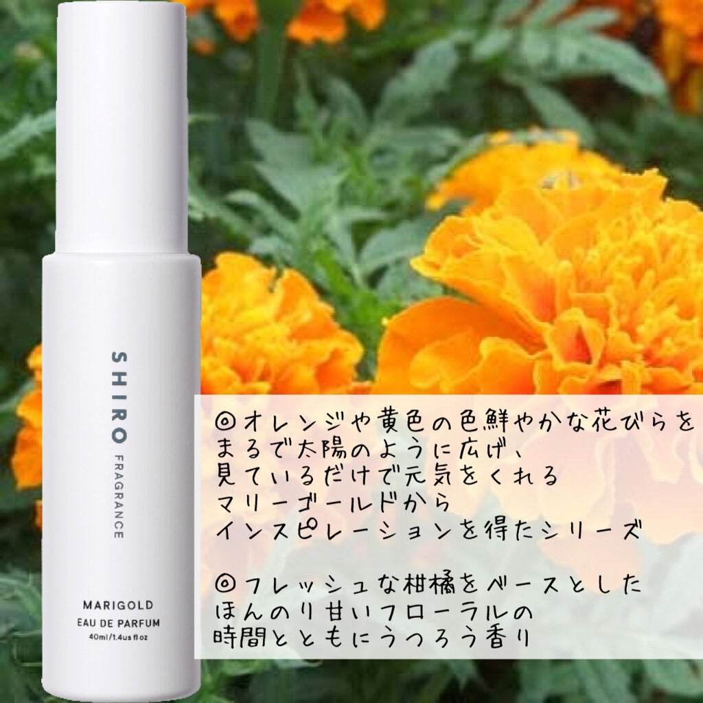 マリーゴールド オードパルファン/SHIRO/香水(レディース)を使ったクチコミ(3枚目)