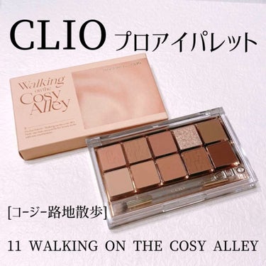 プロ アイ パレット 11 WALKING ON THE COSY ALLEY/CLIO/アイシャドウパレットを使ったクチコミ（1枚目）