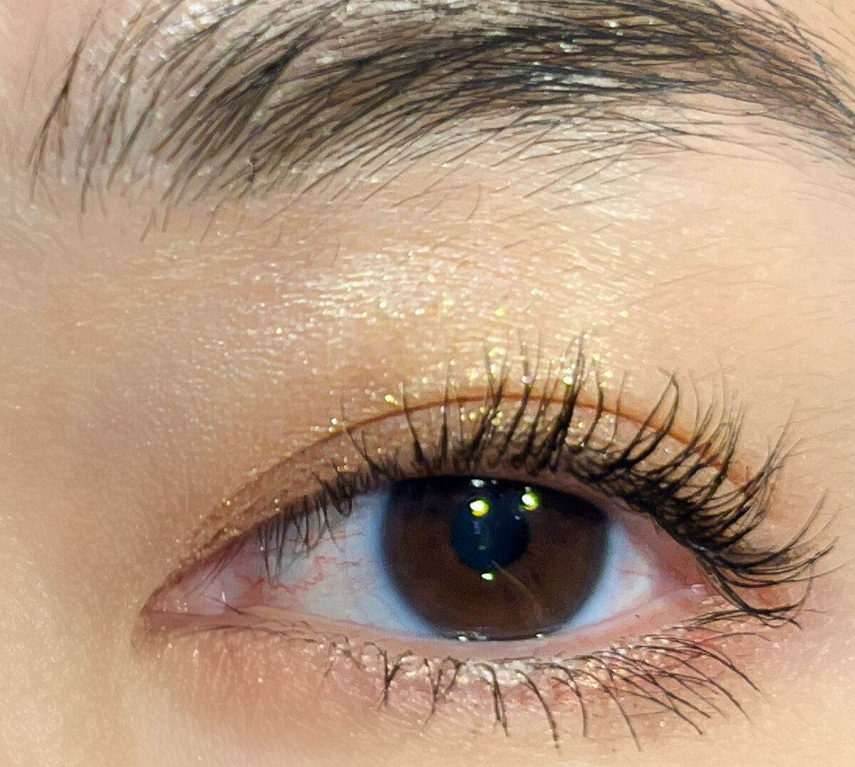 アイシャドウパレット フローラ カラハリ/BYREDO/アイシャドウパレットを使ったクチコミ(7枚目)