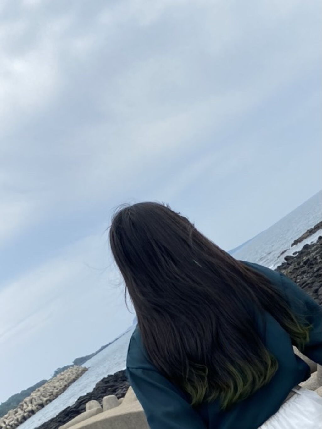 ヘアアクセルレーター レモンライムの香り/加美乃素本舗/頭皮ローションを使ったクチコミ（1枚目）