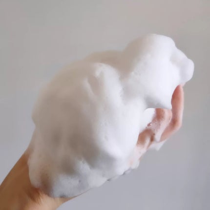 クラシックパウダー /CAC/洗顔パウダーを使ったクチコミ(7枚目)