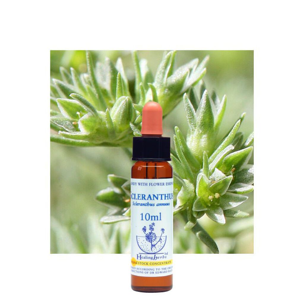 ヒーリングハーブフラワーエッセンス スクレランサス