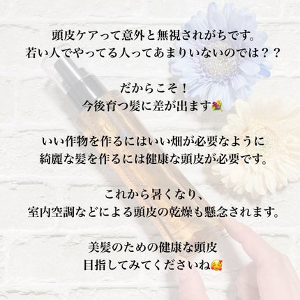 パドル ブラシ/AVEDA/ヘアブラシを使ったクチコミ(6枚目)