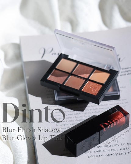 ブラーフィニシュシャドウパレット/Dinto/アイシャドウパレットを使ったクチコミ(1枚目)