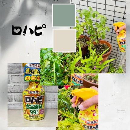 みゅう on LIPS 「アース製薬アースガーデンロハピ1000ml使ってみました。食品..」(10枚目)